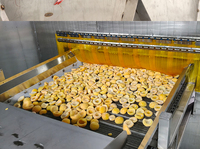 Machine de congélation IQF adaptée aux usines de transformation alimentaire de grande envergure pour la viande, les légumes, les fruits et les produits aquatiques