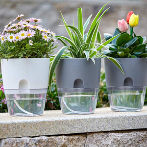 Maceta transparente de aireación automática para orquídeas, violetas africanas, maceta hidropónica de crecimiento de raíces visible transparente - Product Image 1