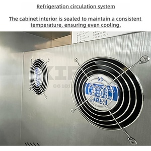 Máquina de Cerveza de Barril Portátil para Uso Doméstico, Mini Kegerator para Fiestas, Bodas y Reuniones Familiares - Product Image 4