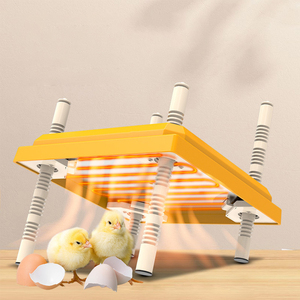 Éleveuse de Poussins et Couveuse Avicole à Prix Économique en Vente - Product Image 2