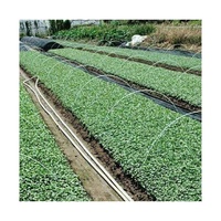 Tige en fibre de verre solide anti-corrosive colorée Haoli pour maison verte/mât de drapeau/arbre de flèche/treillis de raisin