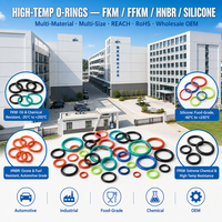 Joints toriques en caoutchouc haute résistance aux températures en FKM/FFKM/HNBR/SILICONE, joint d'étanchéité en nitrile pour injecteur, joint torique en forme de O