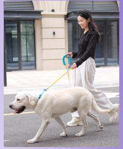 JXANRY-Correa para perro, cómoda, a prueba de explosiones, para exteriores, para perros grandes, multifuncional - Product Image 1