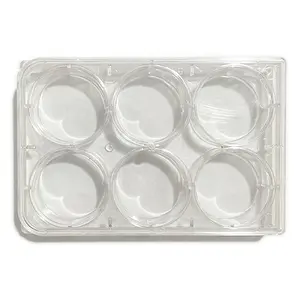 NERS Biological School Experiment Tools Clear Rectangular Plastic Reaction Plate With 6 Wells