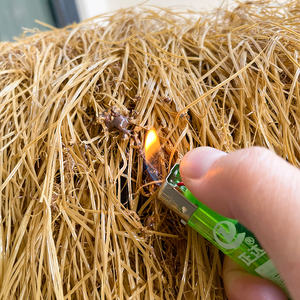 Yapay saz sentetik kamış yapay palmiye saz sarı çim rulo saz barlar için yapay saman çatı çardaklar - Product Image 5