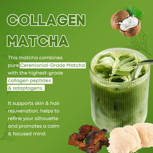 Matcha Latte au Collagène en Marque Blanche, Poudre de Matcha au Collagène, Poudre de Jus Vert Bio, Protéine Marine, Matcha de Grade Cérémonial - Product Image 6
