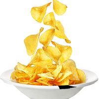 Vente en gros de chips de pommes de terre Lays aux saveurs exotiques Big Wave, chips de pommes de terre saines et délicieuses, chips de pommes de terre coupées à l'origine