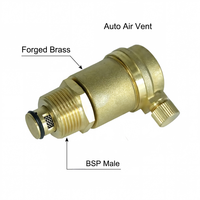 Vanne de purge automatique en laiton DKV, filetage mâle BSP 1/2 pouce PN16 pour système de canalisation de chaudière à eau