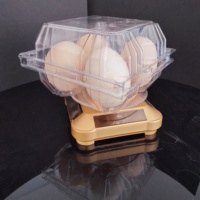 Plateau à œufs de caille en plastique transparent, emballage avec couvercle