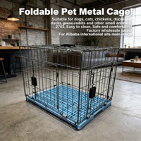 Cage pliable pour animaux de compagnie en plastique et fer robuste avec plateau facile à nettoyer pour chiens de taille moyenne