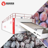 Snoeien drooglijn, fruitdrooglijn, snoeiendroger met gaasband, droogapparatuur met gaasband, snoeiendroogproductielijn