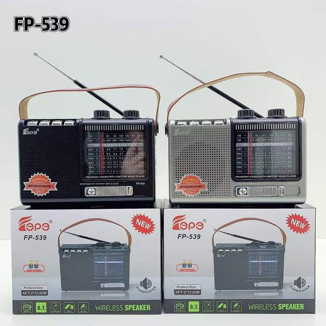 Newest Rechargeable Radio Dc 3v Radio Usb Tf Aux Mp3 Radio FP-539