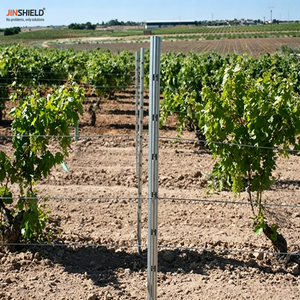 <span class=keywords><strong>Postes</strong></span> <span class=keywords><strong>para</strong></span> Viñedos con Recubrimiento de Zinc, Tipo Nuevo, <span class=keywords><strong>para</strong></span> Plantaciones de Huertos y Plantas de Vino - Product Image 1
