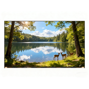 MV238FHM-N20 23.8 Inch FHD 75Hz Desktop TFT <strong>LCD</strong> <strong>Monitor</strong> <strong>with</strong> 250 Nits Brightness 16.7M Colors 178 Wide Viewing Angle - Product Image 1