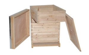 Equipo de Apicultura, Colmena de Madera Langstroth, Caja de Cría Profunda/Sin Montar, Nueva - Product Image 3