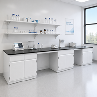 Poste de travail de laboratoire scientifique scolaire avec prises, robinet et armoires modulaires en acier – Bureau de laboratoire sur mesure pour l'éducation
