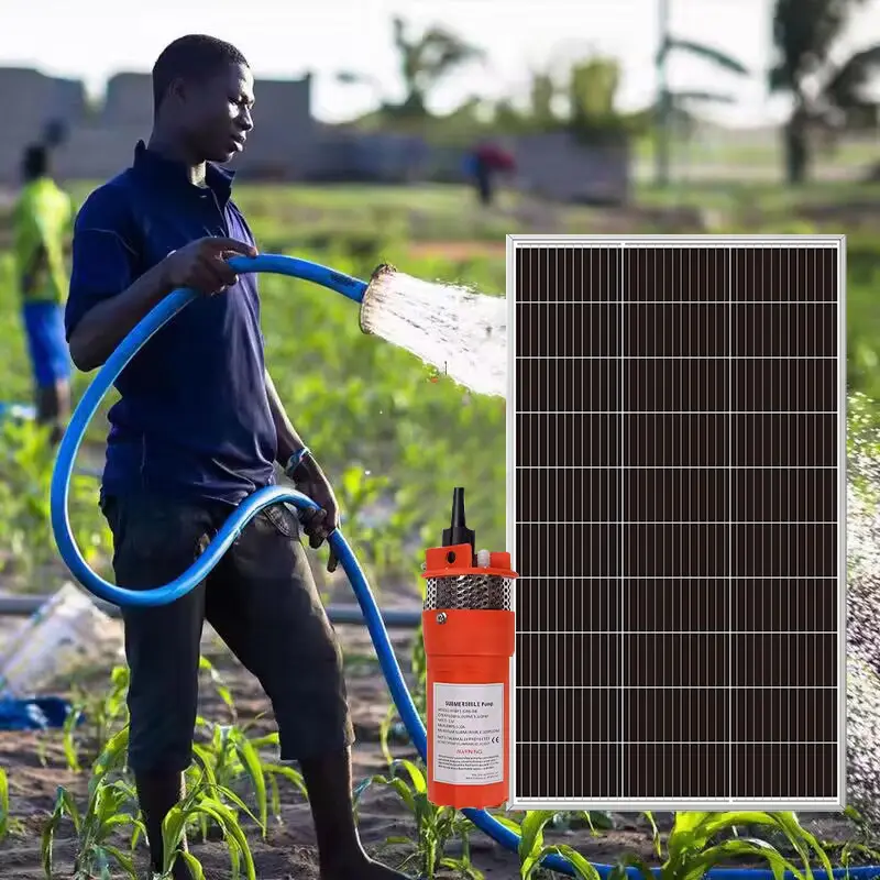 Wasserpumpenverwendung 12 V 24 V Glas-Solarpanel 20 W 30 W 40 W 50 W 100 W 150 W Mono-Solarpanel für Bauernhof Landwirtschaft Bewässerung Solarsystem