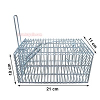 Piège à rats et souris en métal, cage de capture vivante en treillis métallique, design humain pour intérieur et extérieur, contrôle des rongeurs