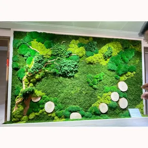 Индивидуальные натуральные консервированные зеленые панели из мха, художественные панели, рамка с мхом, настенное украшение, декор для стен, мох