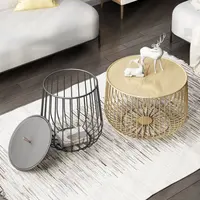 धातु के साथ पक्षी पिंजरे डिजाइन खुले भंडारण कॉफी टेबल morden