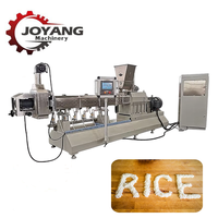 Ligne de production de riz artificiel à extrudeuse bivis, nouvelle machine de fabrication de grains de riz enrichis 200-500 kg/h