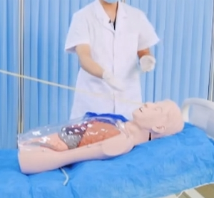 Mannequin d'entraînement Labpilot à trois cavités pour cathéter à double ballonnet, tube NG, soins gastro-intestinaux, en PVC, taille humaine, avancé - Product Image 2