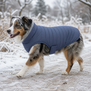 Manteaux pour chien sans manches en similicuir pour l'hiver, doublés de polaire, col haut, pour chiens de type Whippet, Greyhound, aux morphologies fines - Product Image 1