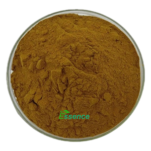 Extrait de plante d'approvisionnement d'usine <span class=keywords><strong>Arctostaphylos</strong></span> uva poudre d'extrait de feuille d'ursi poudre d'extrait de feuille de busserole naturelle 4:1 10:1 - Product Image 2