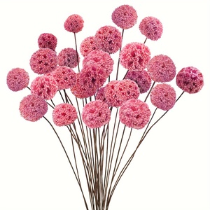 24 Billy Balls, <span class=keywords><strong>Fiori</strong></span> Naturali Essiccati, Bouquet per <span class=keywords><strong>Vaso</strong></span>, Centrotavola per Matrimoni, Decorazione Fai-<span class=keywords><strong>da</strong></span>-Te per la Casa - Product Image 2