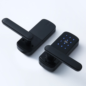 Wenxun <b>Smart</b> Door <b>Lock</b> A16A17 Silver Black IC Card App Control For Apartments Offices Hotels - Product Image 2