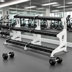 Đơn đôi ba lớp thương mại quả tạ Rack với nhà máy thẳng tóc an toàn và bền cho gia đình - Product Image 6