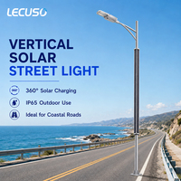 LECUSO 100W 200W Lampadaire Solaire Extérieur à Module Monocristallin Vertical Panneau Solaire LED pour Parking et Route