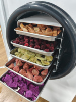 110V 10KG Fruitvriesdroger Huishoudelijke vacuümvriesdroogmachine voor aardbeien, direct uit voorraad leverbaar in Australië