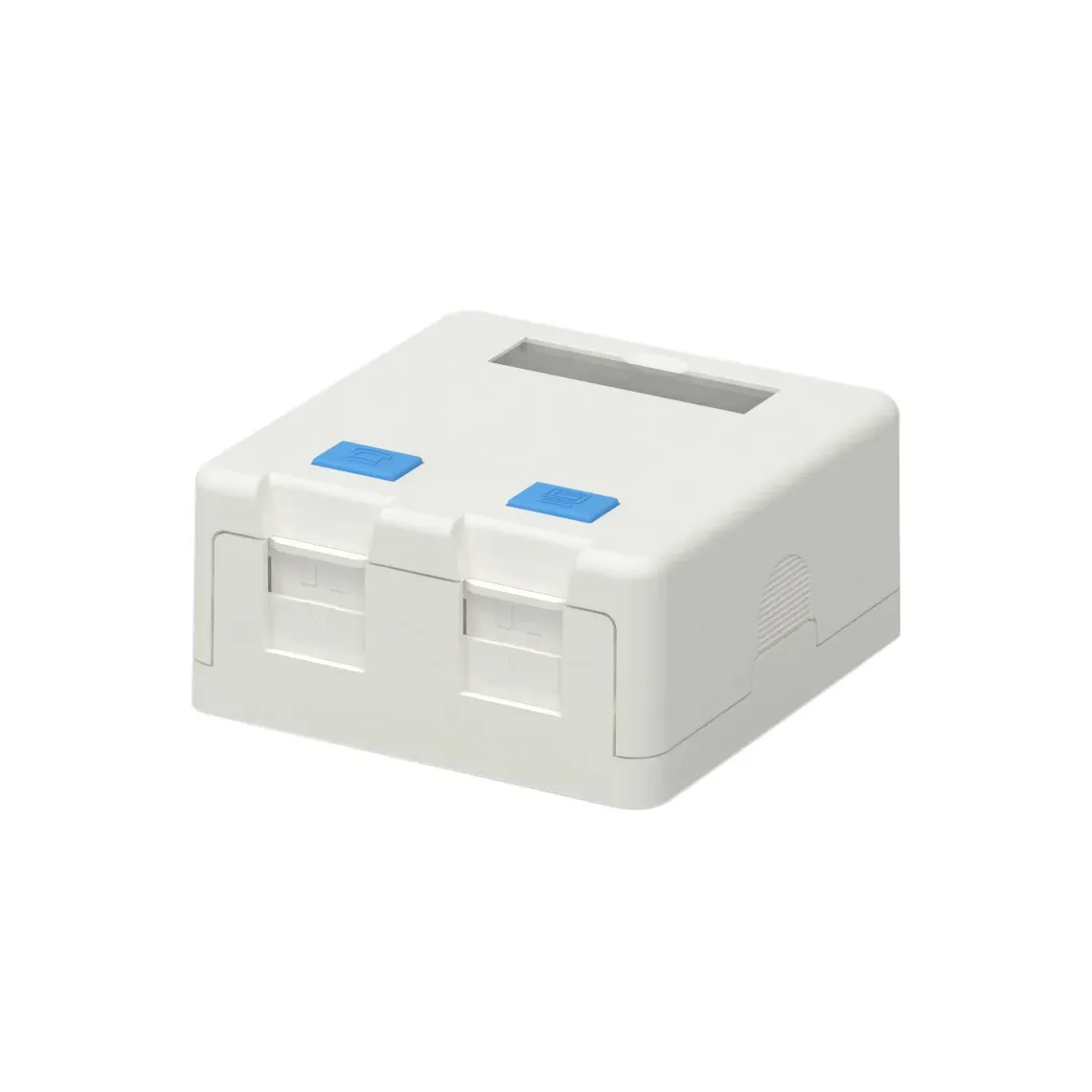 Keystone Jack a montaggio superficiale Box a 2 porte per UTP/FTP Cat8/Cat6a/Cat6/Cat5e RJ45 martinetti Keystone