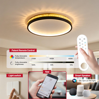Plafonnier de haute qualité pour chambre à coucher, luminaires ronds, commande à distance via l'application Tuya, base en fer moderne, plafonnier LED