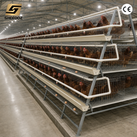 Cage à poulets de chair pour poules pondeuses, système de type A, cages d'élevage pour poules pondeuses, cages à étages, équipement pour 3 niveaux, cage à poulets de chair