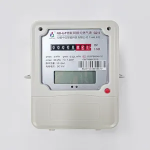 Medidor de gás doméstico de alta qualidade/g4 medidor inteligente de gás com comunicação nb
