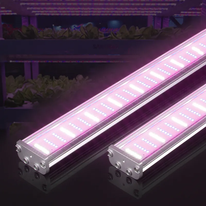 Invernadero hidropónico impermeable LED crece la luz de espectro completo LED crece luces para plantas de interior