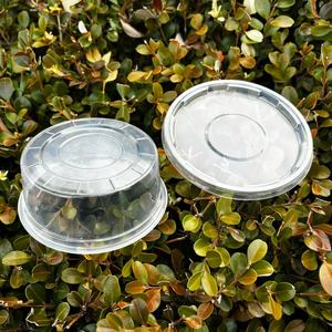 Vasos Desechables Redondos Transparentes <span class=keywords><strong>de</strong></span> PP <span class=keywords><strong>de</strong></span> 8 oz con Tapas, Recipientes Térmicos <span class=keywords><strong>de</strong></span> Plástico Aptos para Microondas para Comida para Llevar - Product Image 2