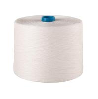 Quality 100% Linen Fancy Yarn 3-60NM Eco-Friendly for Weaving and Knitting