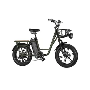 Aluminium rahmen 7-Gang 500w 48V Elektro-Mountainbike Fahrrad Damen Fat Tire E-Bike