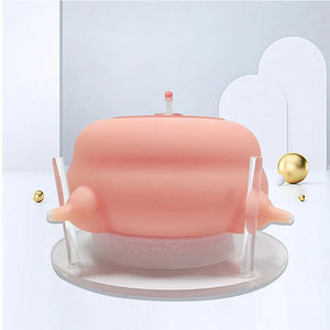 Jouet distributeur de nourriture pour animaux de compagnie, pompe à lait pour chiots et chats, ensemble de distributeurs de nourriture en silicone pour animaux de compagnie - Product Image 1