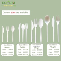 Couteaux jetables biodégradables en CPLA compostable 180 mm (7,09'') robustes, 12 pièces/paquet, emballage OEM marque privée, vente en gros