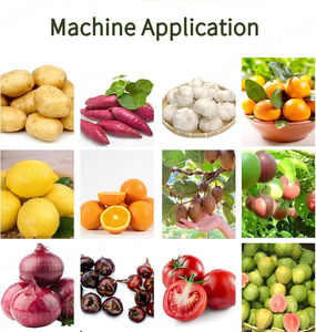 Máquina Clasificadora Automática Eficiente para Frutas, Patatas, Batatas y Lichis, Máquina Clasificadora de Frutas - Product Image 6