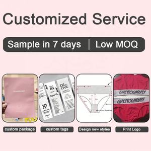 Logo personnalisé 2026 NOUVELLE Arrivée Culottes élégantes pour jeunes filles en maille à séchage rapide, Bikinis transparents et sous-vêtements transparents - Product Image 2