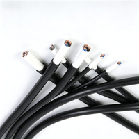 Direkt ab Werk Beliebtes 2-adriges 4mm² RVV PVC-Ummanteltes Flexibles Kabel Hochleitfähiges Kupfer Hitzebeständiges Kabel für die Industrie