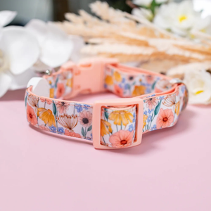 Colliers pour chiens personnalisés à prix d'usine, motifs personnalisés, toile et néoprène élégants, confortables, réglables et personnalisables - Product Image 2