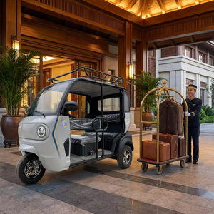 Tricycle Électrique Compact YS, Origine Shandong, >60V, Cabine Ouverte, Porte-Bagages/Porte-Marchandises, Véhicule de Transport Électrique Domestique à Basse Vitesse - Product Image 3