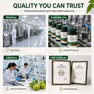 Cápsulas de Triphala de Marca Privada, Fabricante de Suplementos Herbales con Soporte para el Sistema Inmunológico, Digestión y Salud del Colon - Product Image 4