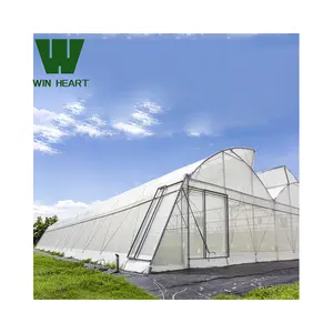 Cheap Wholesale Industrial Hydroponic Greenhouse for growing